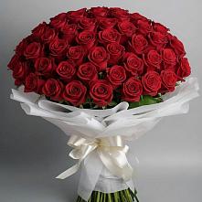 Букет 101 Красная роза Блэк Мэджик в Муромцево