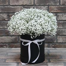 Цветочная композиция из Гипсофила в шляпной коробке в Муромцево