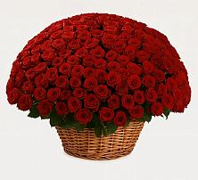 Премиум букет из: Розы в Муромцево